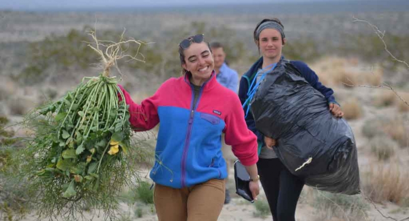 veterans work on a service project during an outward bound veterans course 